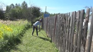 6 соток 9 сентября 2020 года. За границей. участка. Кошу, пью кефир и говорю...