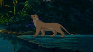 🧡НЫНЧЕ ТЫ УЗНАЛ ЛЮБОВЬ💕 Король Лев. Симба и Нала🧡