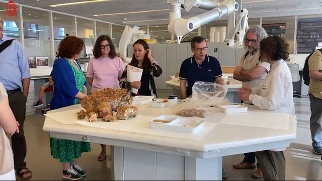 La Comisión Asesora Científica del CENIEH en Burgos смотреть онлайн