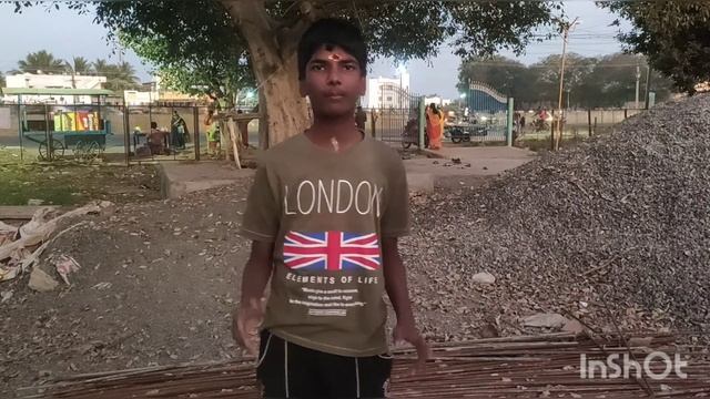 Batocera rufomaculata Insect смотреть онлайн