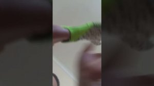 Обзор на мои вратарские перчатки