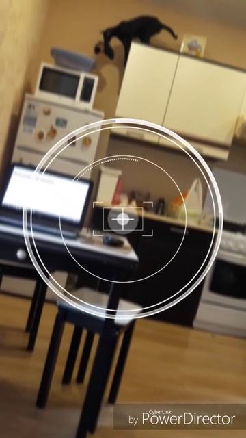 Кот упал смотреть онлайн