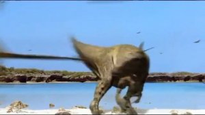 Eustreptospondylus oxoniensis  an ancient dinosaur PT 2 .