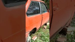 Что выбрасывают на помойку в России😄