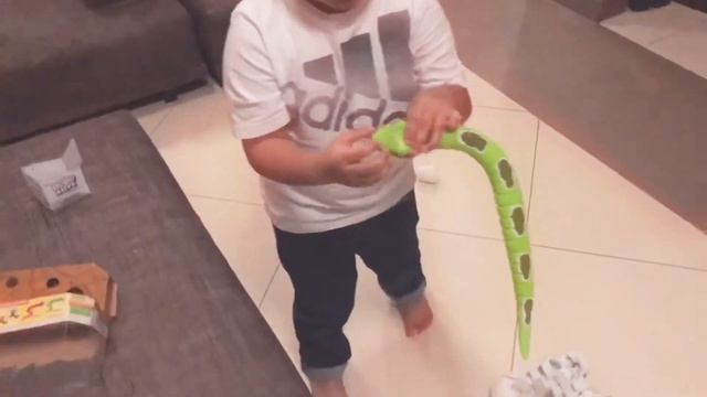 Zuru Robo Alive real life robotic pets смотреть онлайн