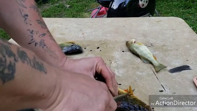 RAPALA MARTIINI FELLET KNIFE REVIEW( FISHING AND FELLEING ) смотреть онлайн