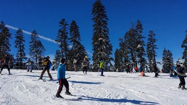 Cal Bear's Marching /Skiing Band at Sierra at Taho смотреть онлайн