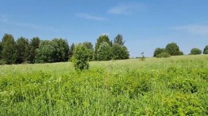 голочелово, Костромская обл с пением птиц. Часть 4 .