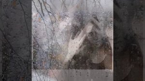 Аркадий Кобяков (Весенний дождь)