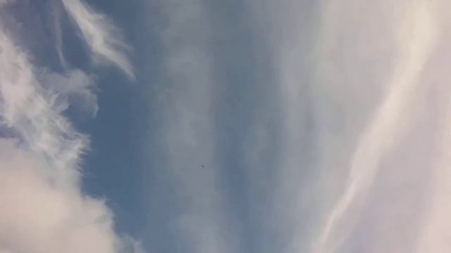 06 02 21г Володя Ерофеенко смотреть онлайн