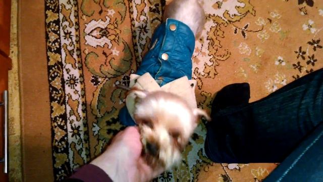 Наш Йорик Арт (Артемий) смотреть онлайн