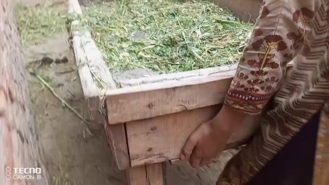 main Kiska Sath Dun aur Kiska dun