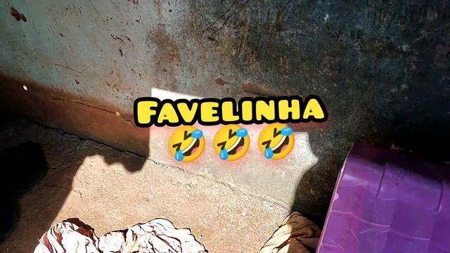 Remédios para pulgas e carrapatos e como passar смотреть онлайн