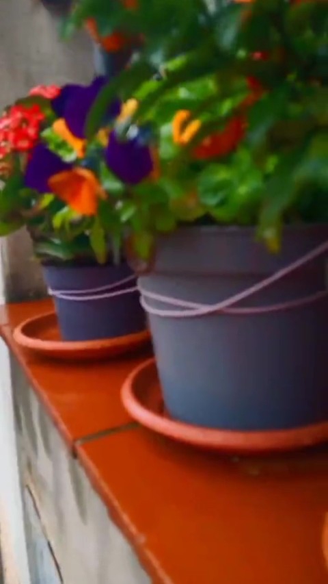 ВОДА - ЭТО ЖИЗНЬ!!! #дождь#медитация#innacreator