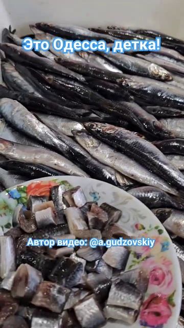 Одесса Привоз Цены на рыбку у Нади 15.02.2024 #одесса #обзорцен #привоз #привозодесса #shorts