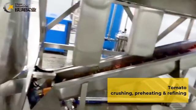 Professional NFC Tomato Juice Production Line manufacturers