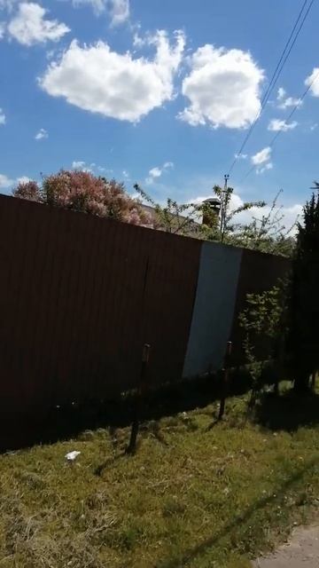 Жилетово 04.06.2021 смотреть онлайн