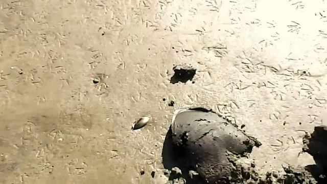 Коп 2018.Последний коп на Днепре перед затоплением смотреть онлайн