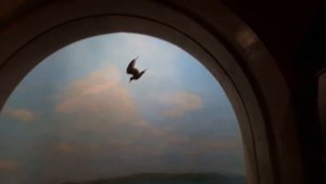 чайка хахатун5