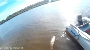 Рыбалка в Харабалях. Астраханская область. протока Полданиловка.