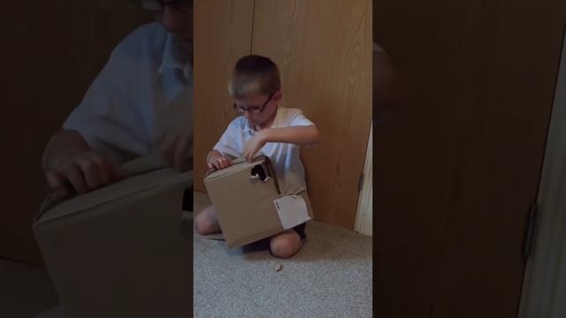 Argentinosaurus un boxing смотреть онлайн