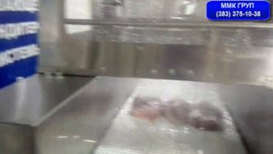 Инъектор ФМШ 33 четверные иглы работа на мясе