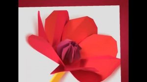 карусель в эффектах 5