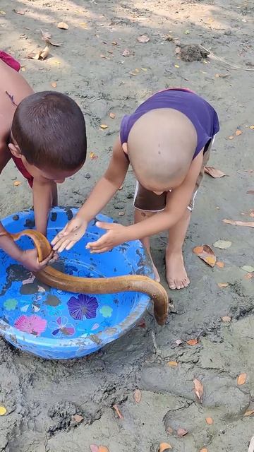 Little Boy Catching eels | #shorts смотреть онлайн