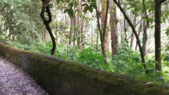 11 Lugares Turísticos de Ibarra смотреть онлайн