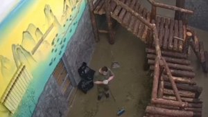 Панда напала на человека