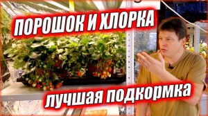 Порошок и хлорка лучшая подкормка, но есть и альтернатива не хуже