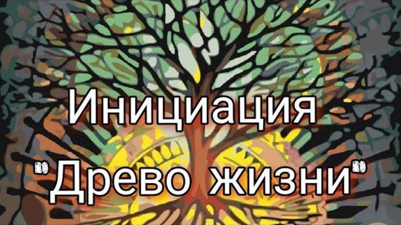 Древо Жизни Обнуление  Кармы Алланха #инициация#очищение#переход