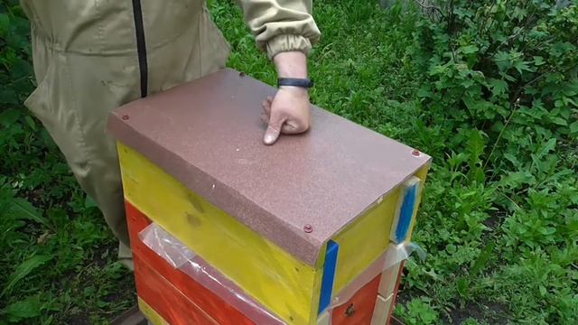 Подкормка пчел в первый теплый денёк!!! смотреть онлайн