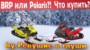 Polaris или BRP? Выбор снегохода для настоящих экстремалов!