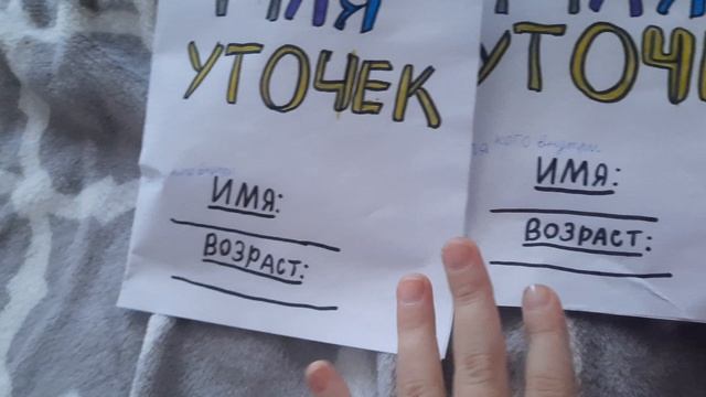 уточки пойдут в садик , открываем посылку смотреть онлайн