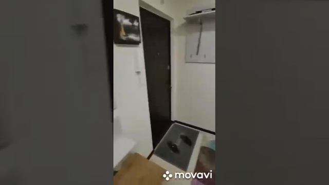 2 КОМ КВАРТИРА 68м2 С ОТЛИЧНЫМ РЕМОНТОМ УЛ. АВЕРКИЕВА ККБ 3850₽ смотреть онлайн