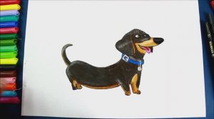 Как нарисовать таксу БАДДИ из Тайной жизни домашних животных