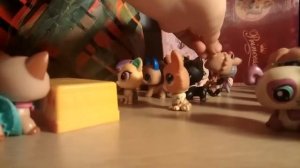 первая встреча (1 серия 1 сезон )