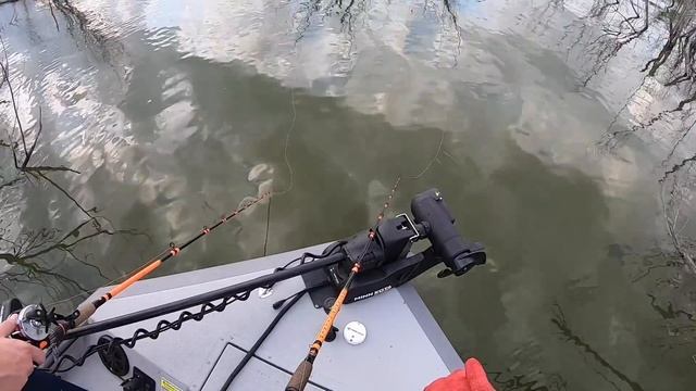 Early Summer Catfish GRIND - Thumping Up Fish? смотреть онлайн