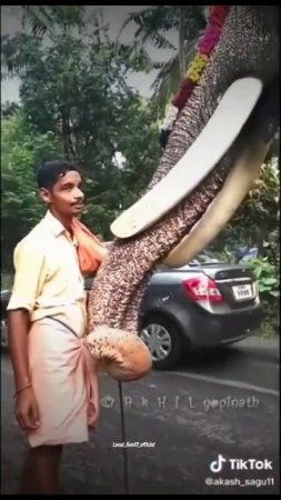 കർണ്ണനും തിരുമേനിയും തമ്മിലുള്ള ആത്മബന്ധം 🥺🥺🥺💖💖
