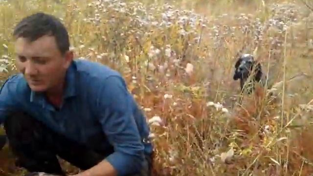 OXOTA NA AYDARKULE смотреть онлайн