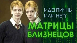 Матрицы близнецов. Как консультировать Матрицу Судьбы?