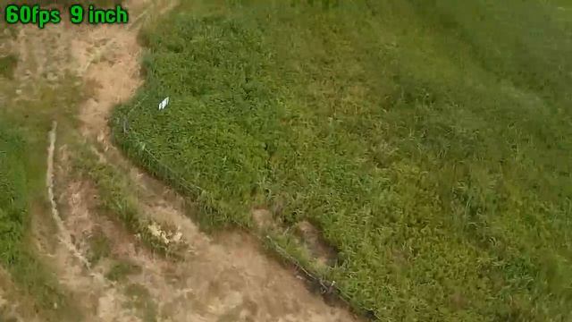 Diatone 'white sheep' смотреть онлайн