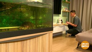 Выбираем усилитель для интернета. Доброе утро. Фрагмент выпуска от 06.02.2025