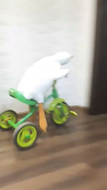 #гусь #прикол смотреть онлайн