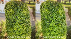 Google Pixel 9 Pro VS Google Pixel 8 Pro Camera Comparison
