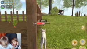 Милана и Ника играют в симулятор Котенка Cat Simmulator