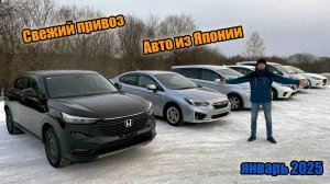 СВЕЖИЙ ПРИВОЗ АВТОМОБИЛЕЙ ДЛЯ НАШИХ КЛИЕНТОВ. ЯНВАРЬ 2025