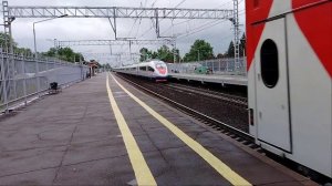 Двойной Высокоскоростной Электропоезд Сапсан ЭВС1-10+ЭВС1-20 и Электровоз ЧС6-022 Колпино