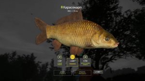 РР4 оз.Медное фарм для новичков(без ПВА)